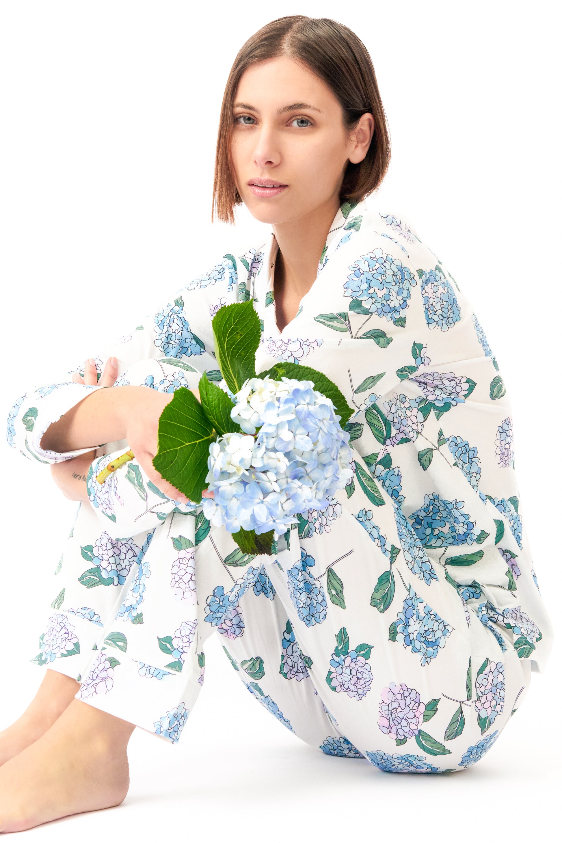 Hydrangea