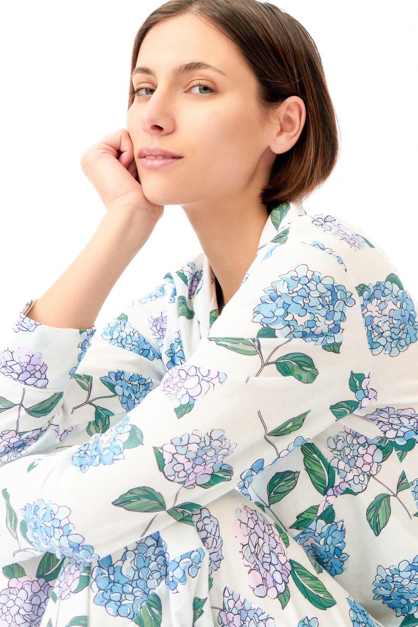 Hydrangea