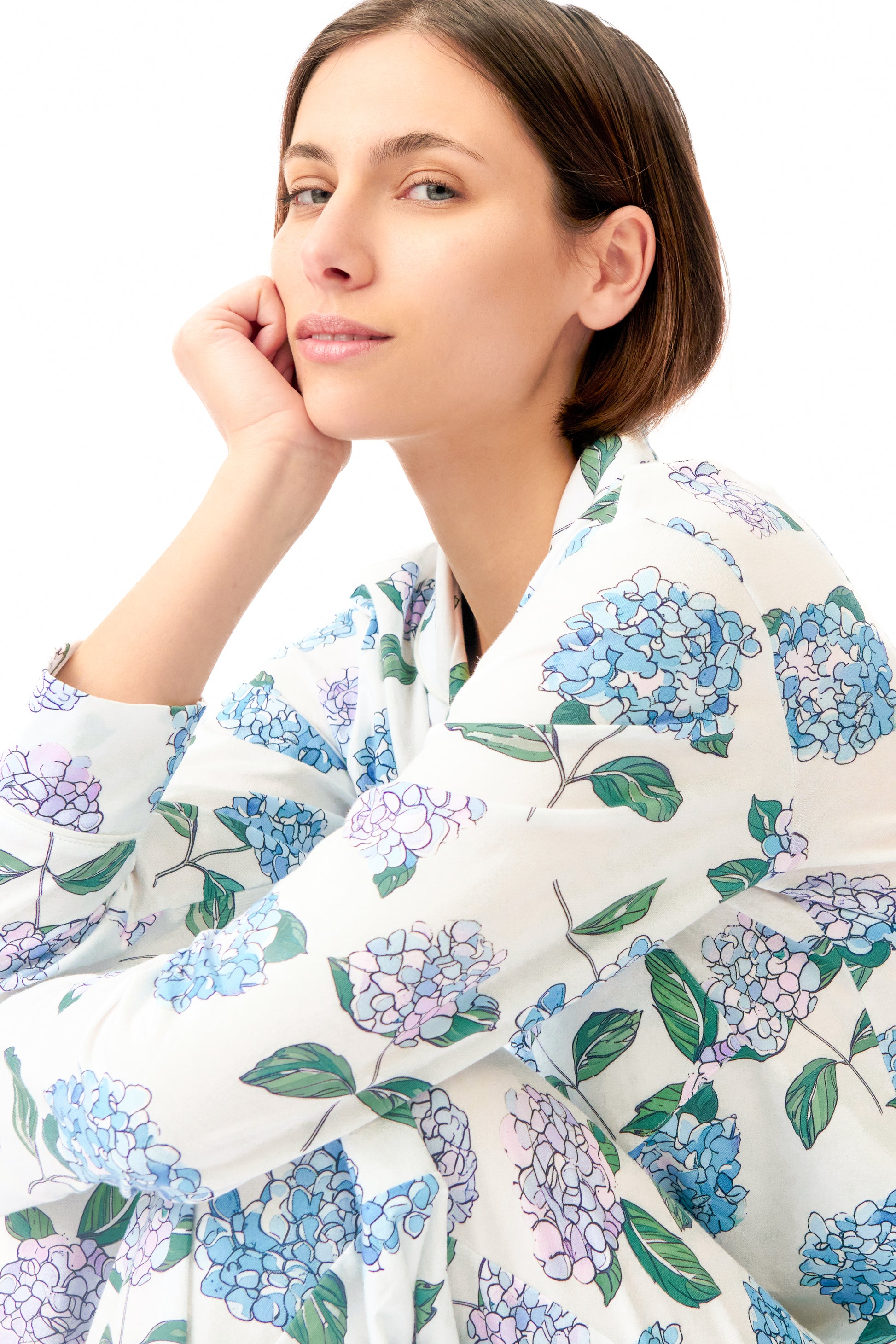 Hydrangea